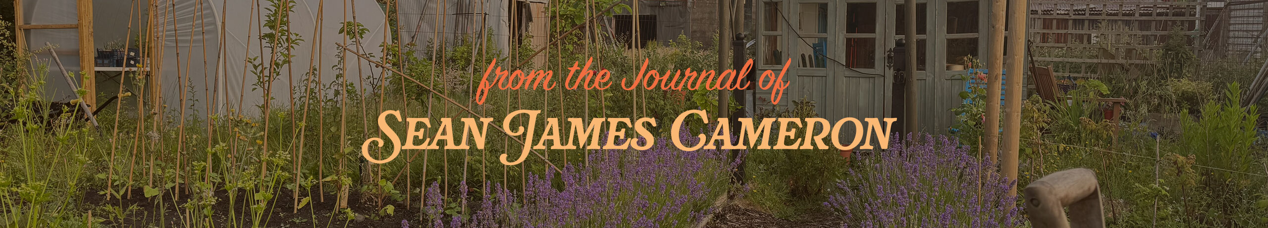 Sean's Journal